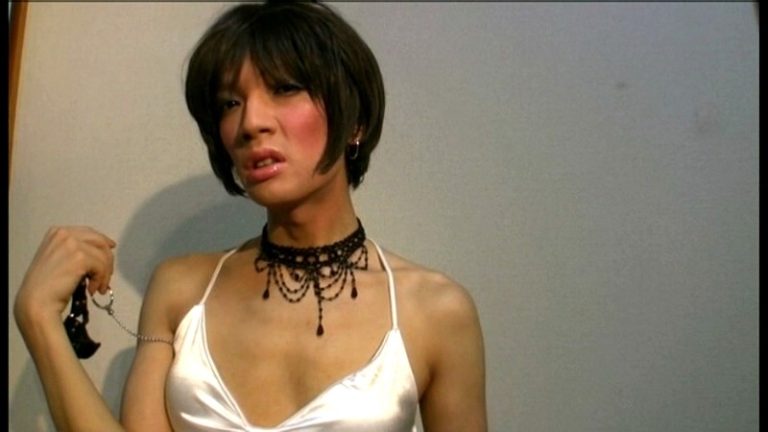 女装娘アナル倒錯 視られ好きな私のド変態ペニクリ徘徊記 を解説