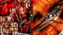 OVER WORK を解説
