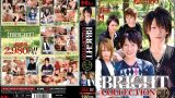 BRIGHT COLLECTION FILE 10～14 を解説