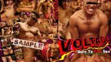 VOLTAGE を解説
